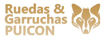 puicon20